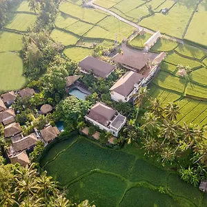 4* Resort The Sun Of Granary And