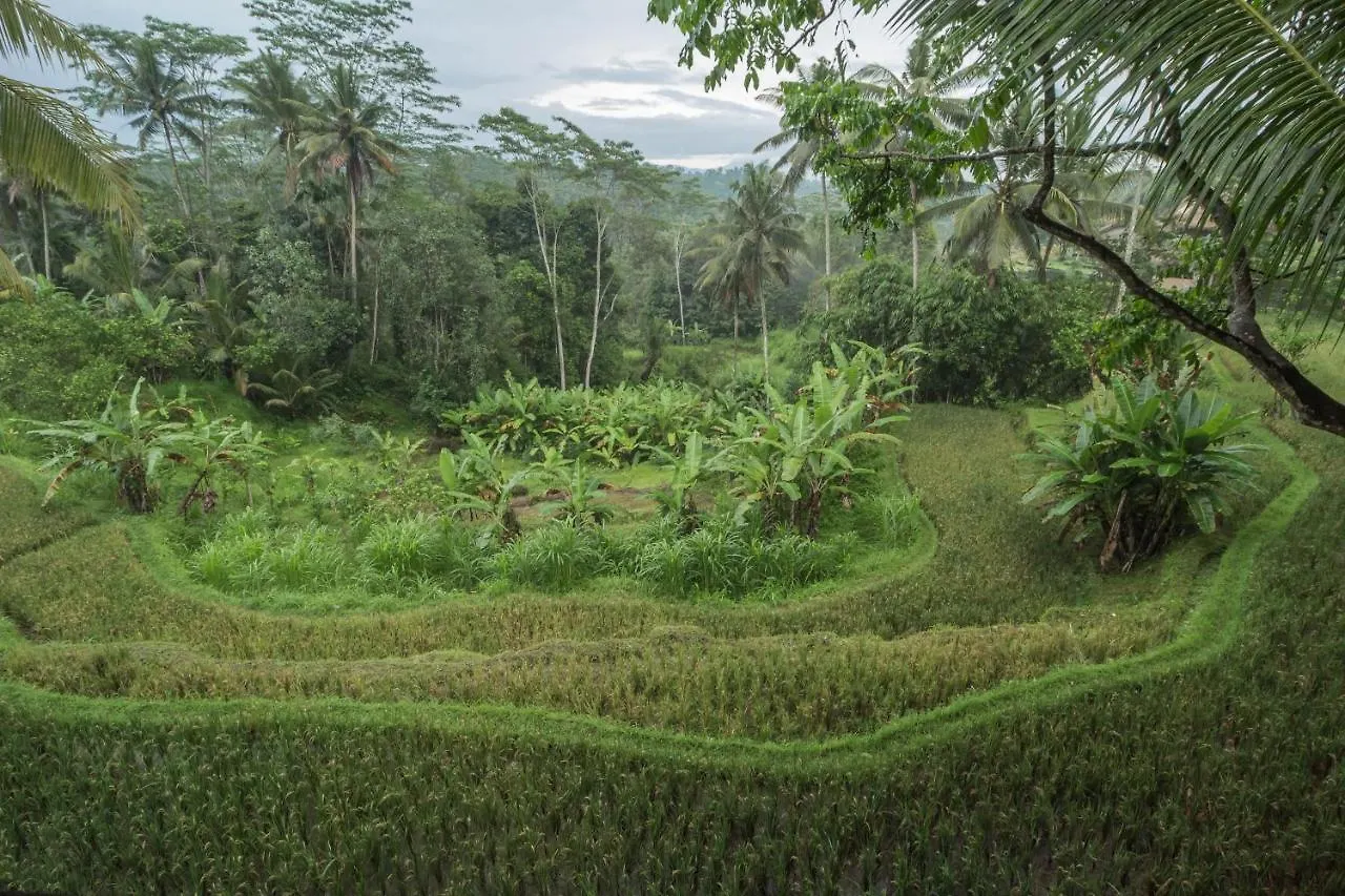 Masakali Retreat Hotel Ubud 0*,