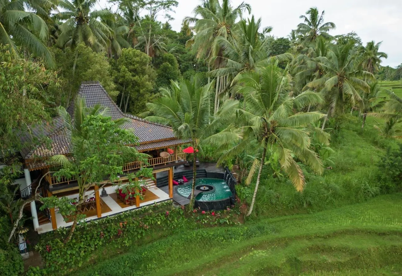 Masakali Retreat Hotell Ubud Indonesien