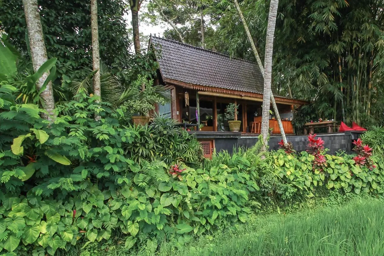 Guest house Masakali Retreat Hotel Ubud