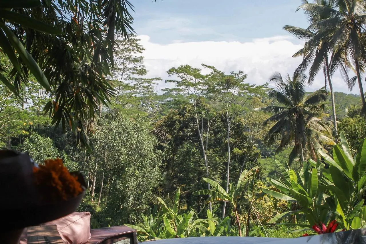 Guest house Masakali Retreat Hotel Ubud  Indonesia